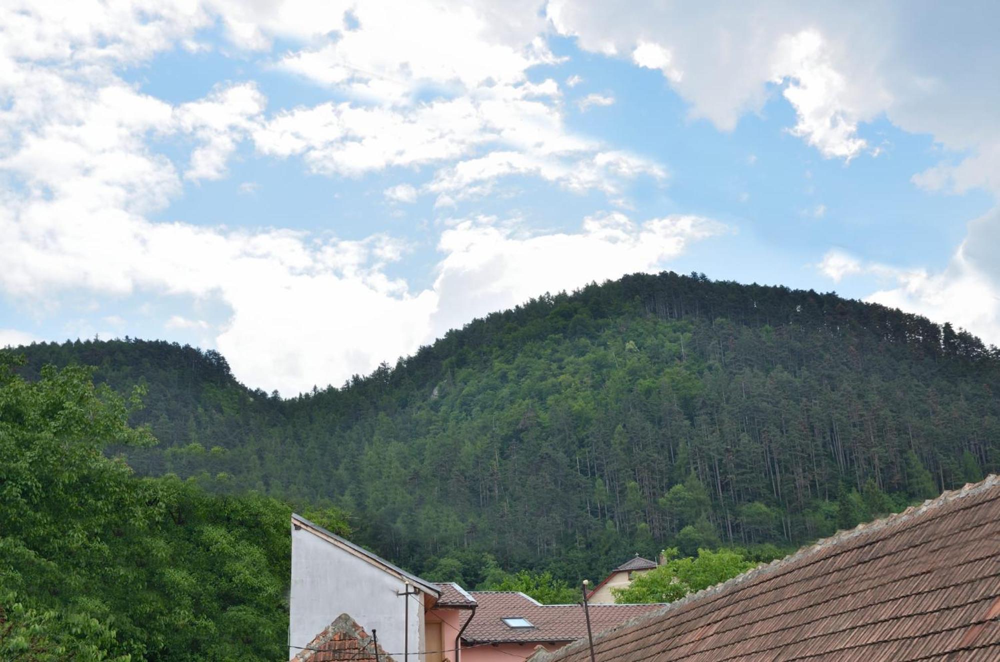 Casa Chiper - Attic Apartment With View Braşov Eksteriør billede